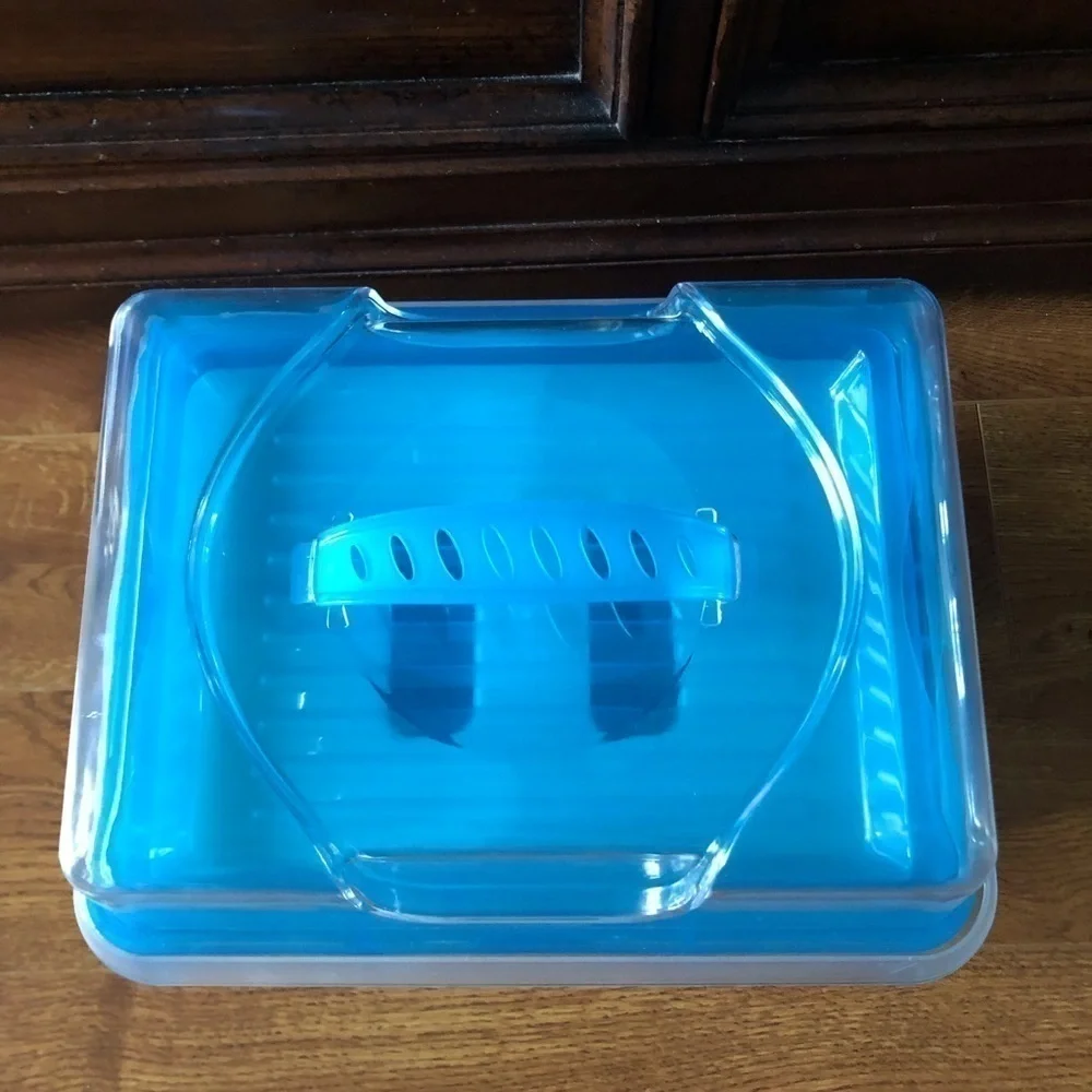 Blue Covered food dish with ice pack